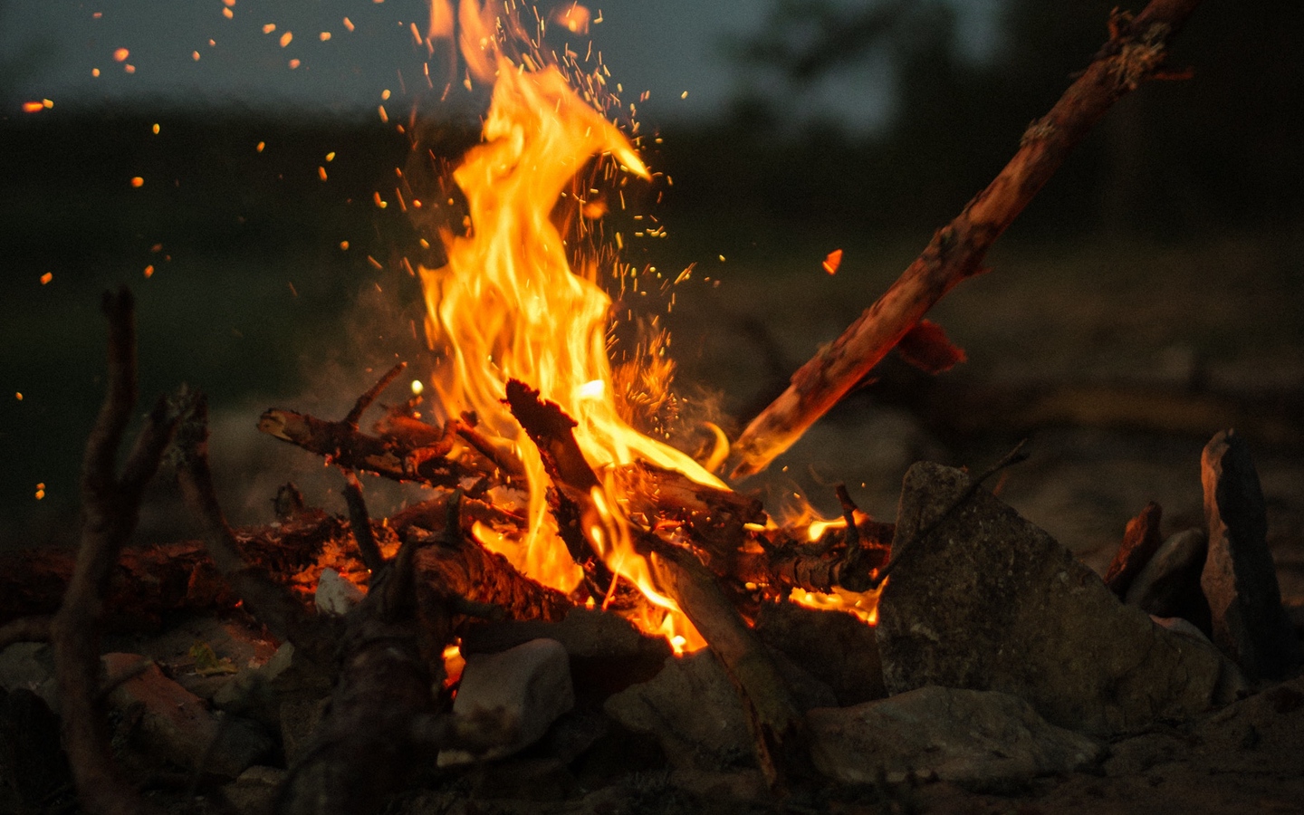 تضمین کیفیت محصول