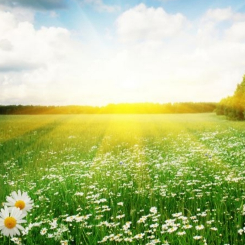 تضمین کیفیت